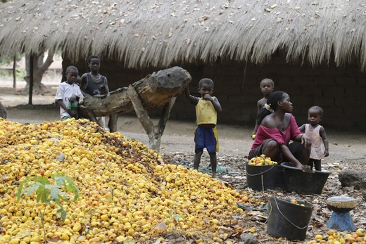 A woman sorts through a pile of cashew nuts as children look on next to a farm owned by former Guinea Bissau army chief General Antonio Indjai outside Mansoa, Guinea-Bissau, May 8, 2015. 
